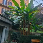Salotto19 - Borghese Apartmán *